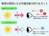ダイビングマスクアポロapolloバイオメタルマスクチタンbiometalmask二眼水中マスクUVスキューバダイビングフリーダイビングシュノーケリングシリコンスキューバ
