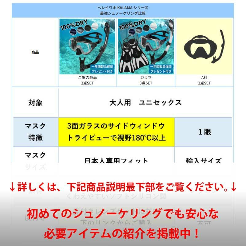 シュノーケル セット ドライスノーケル シュノーケリングセット マスク