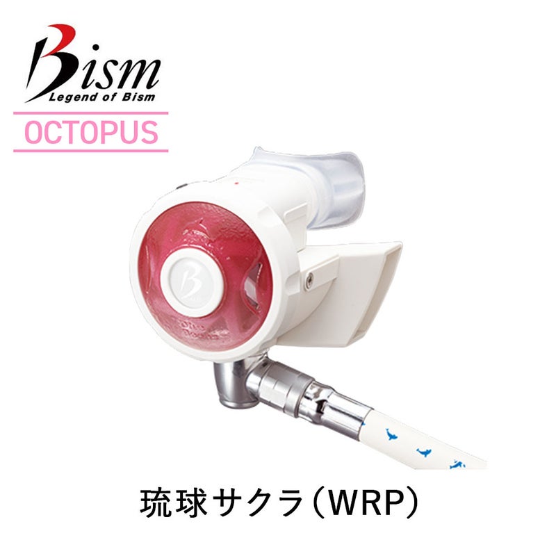 BismBeans2OCTOPUSビーンズ2オクトパススキューバダイビング