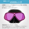 ダイビングマスクアポロapolloバイオメタルマスクPREMIUM二眼水中マスクUVスキューバダイビングフリーダイビングシュノーケリングシリコンスキューバ