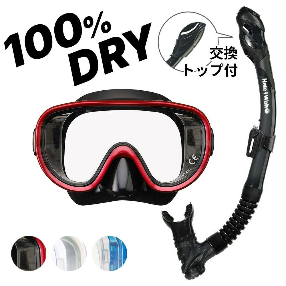 シュノーケリング セット 2点セット マスク ドライ スノーケル 大人