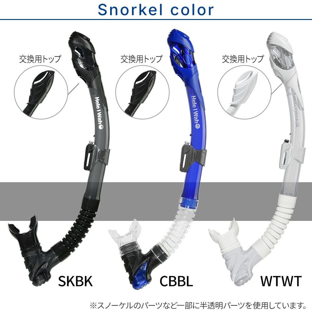 シュノーケリング セット 2点セット マスク ドライ スノーケル 大人
