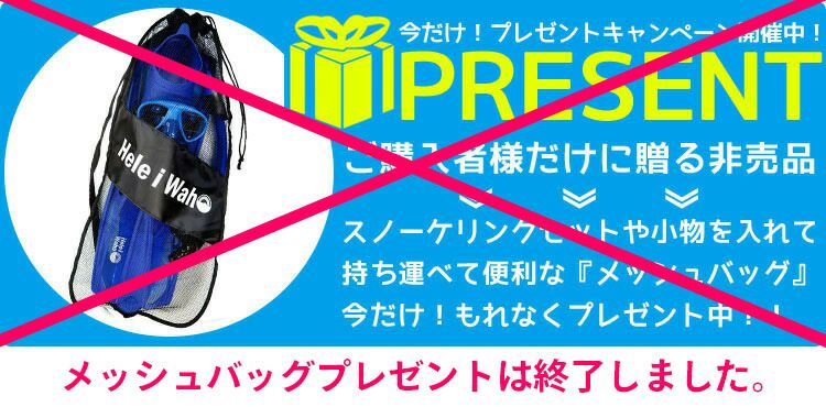 シュノーケリング セット 3点セット マスク ドライ スノーケル フィン