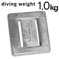 日光社ノーマルウエイト1kg