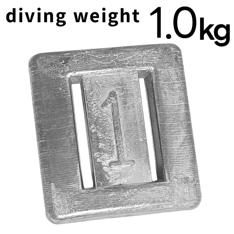 日光社ノーマルウエイト1kg