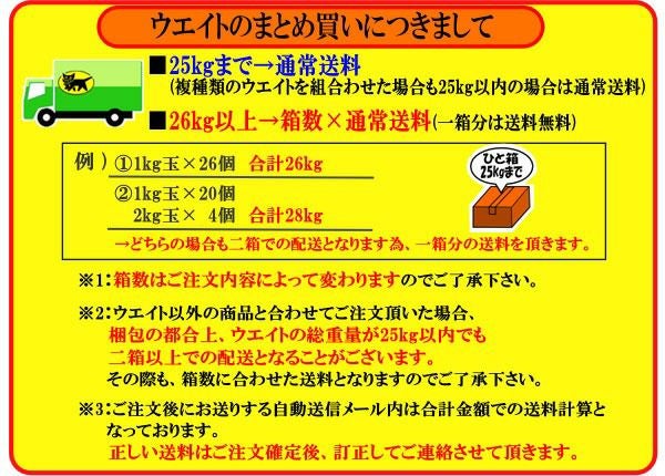 ウエイト GULL/ガル カラーウエイト 2kg GG-4691 スノーケリング