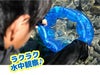 【のぞきメガネ】REEFTOURER/リーフツアラー膨らましのぞきメガネRA0502[811030130000]|のぞきめがね水遊び子供子どもこどもキッズ海川遊びスノーケルスノーケリングシュノーケルシュノーケリング水中観察箱メガネ