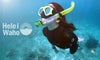 UV-400CUTアンバーカラーレンズマスクセットシュノーケルダイビングスキンダイビング対応UVレンズ付きマスク(水中メガネ)HeleiWaho/ヘレイワホノア2マスク【noah2_UV】