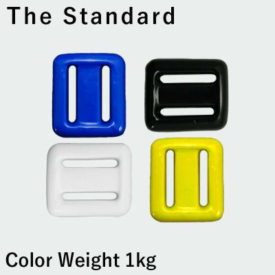 ダイビング ウエイト カラーウェイト 1kg 鉛 スキューバダイビング 