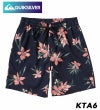 QUIKSILVERクイックシルバーJAMショーツメンズ19インチインナー付きサーフィンビーチ海プールアウトドアサマーEVERYDAYIXVOLLEY19