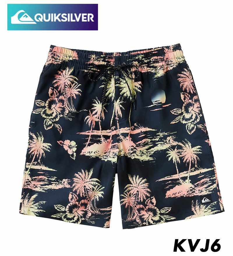 QUIKSILVER クイックシルバー JAMショーツ メンズ 19インチ インナー