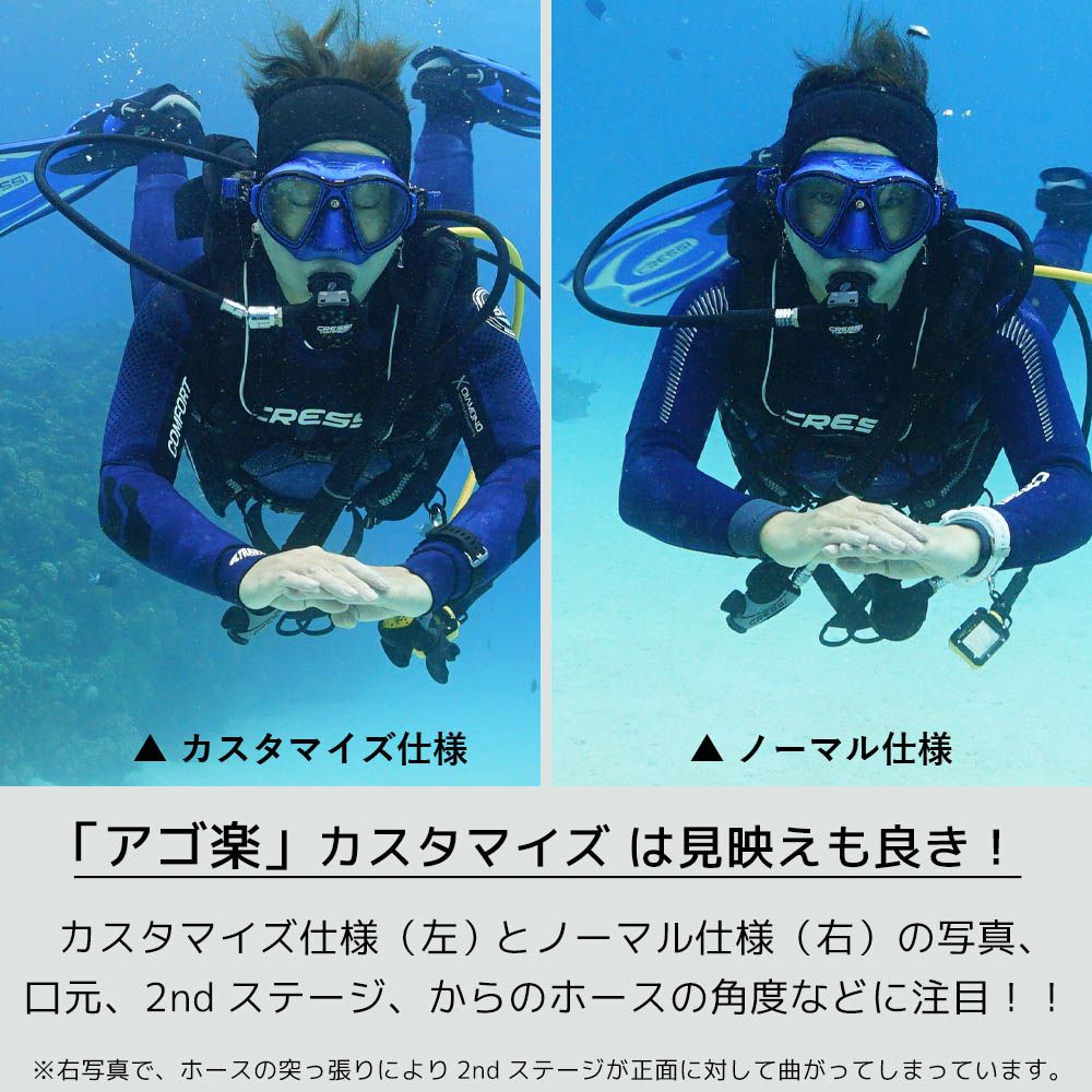 レギュレーター フレックス ホース 75cm The Standard ザ