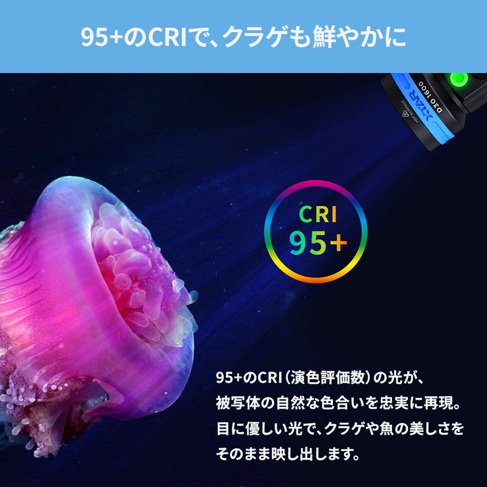 水中ライト 水中撮影 ダイビング LED ダイビングライト 防水