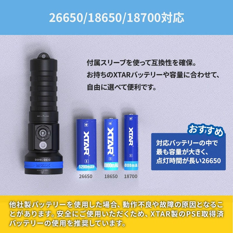 D301600(w/oBT,Charger)