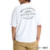 WAVE ALMOND  BG011221