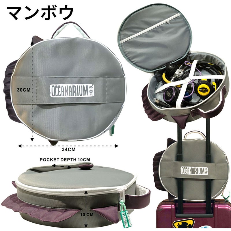 RegulatorbagsRB05RB06RB07RB08RB09RB10RB11RB12