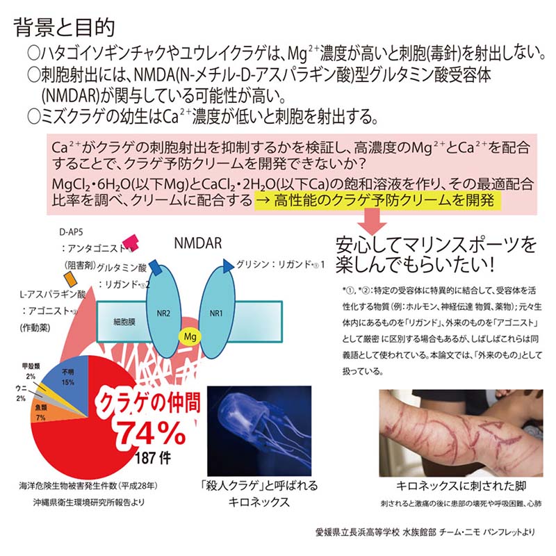 サンスクリーン50mlバニラクラゲ対策クラゲ予防日焼け止めSPF50JELLYSGUARDジェリーズガード