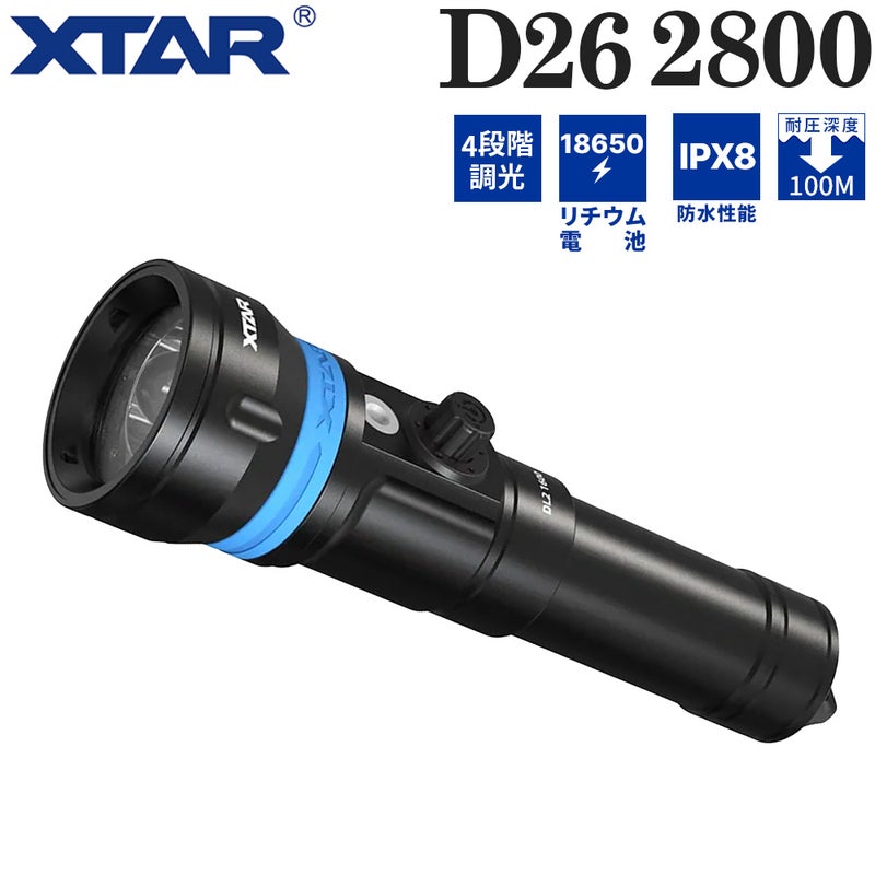 D262800short(w/oBT,Charger)AF064001