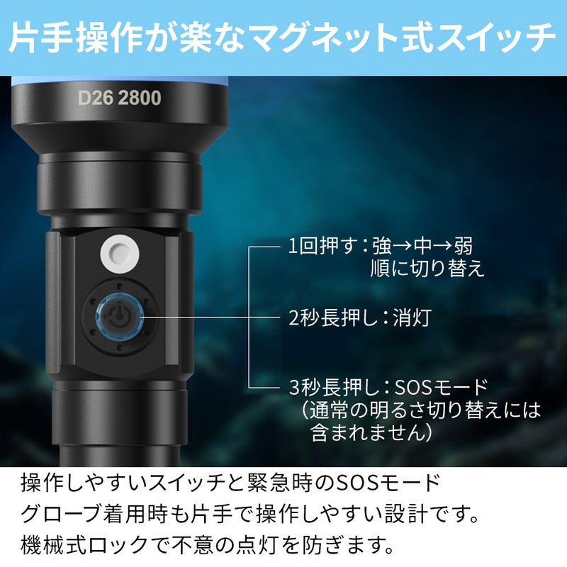 D262800short(w/oBT,Charger)AF064001